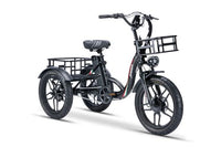 Burner Cargo Tricycle  Electric Bike