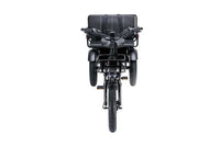 Burner Cargo Tricycle  Electric Bike